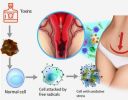 Soothe&Slim™ Anti-Itch Detox Slimming Capsule